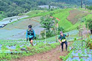 BIB: 1238
                            <button type="button" onclick="openModal(13378918)" class="btn btn-primary btn-sm float-right btn-popup" data-toggle="modal" data-target=".modal-high-quality">
                        <i class="fas fa-shopping-cart"></i> Add to Cart
                    </button>
                                            <button type="button" onclick="isThisMe(13378918, true)" class="btn btn-success btn-sm float-right btn-popup btn-isme hidden" data-toggle="tooltip" data-placement="bottom" title="นี่คือรูปของคุณใช่ไหม คลิกที่นี่เพื่อเอาเข้าอัลบั้ม">
                        <i class="fas fa-plus"></i> Add to album
                    </button>
                    <button type="button" onclick="isThisMe(13378918, false)" class="btn btn-warning btn-sm float-right btn-popup btn-isnotme hidden">
                        <i class="fas fa-ban"></i> Remove from album
                    </button>